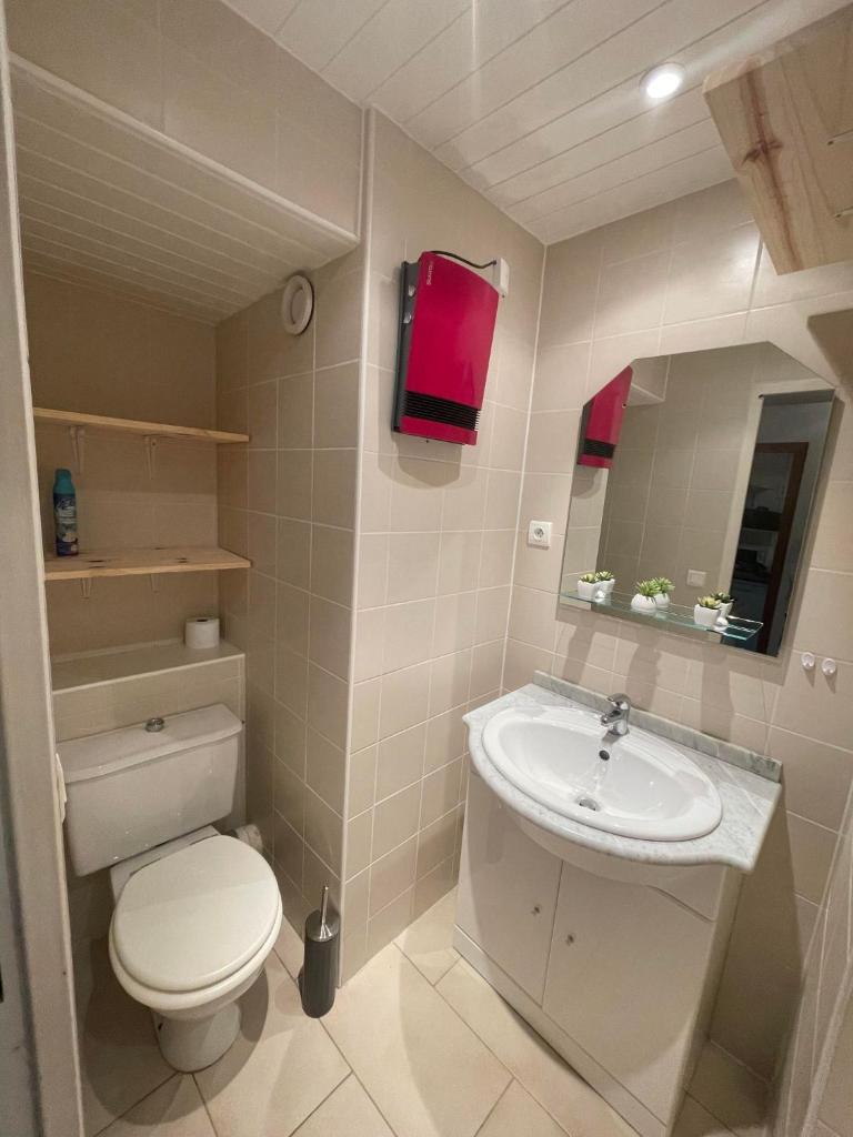 une petite salle de bain avec toilettes et lavabo dans l'établissement Appartement au pied des pistes, au Corbier