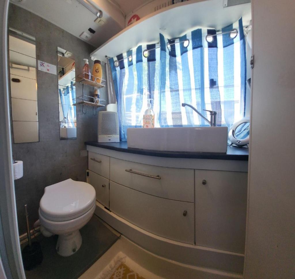 une petite salle de bain avec toilettes et lavabo dans l'établissement Logement entier sur bateau, à Montech 4 autres photos