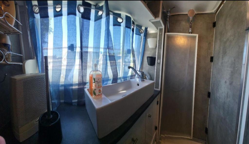 une salle de bain avec un lavabo et une douche dans l'établissement Logement entier sur bateau, à Montech