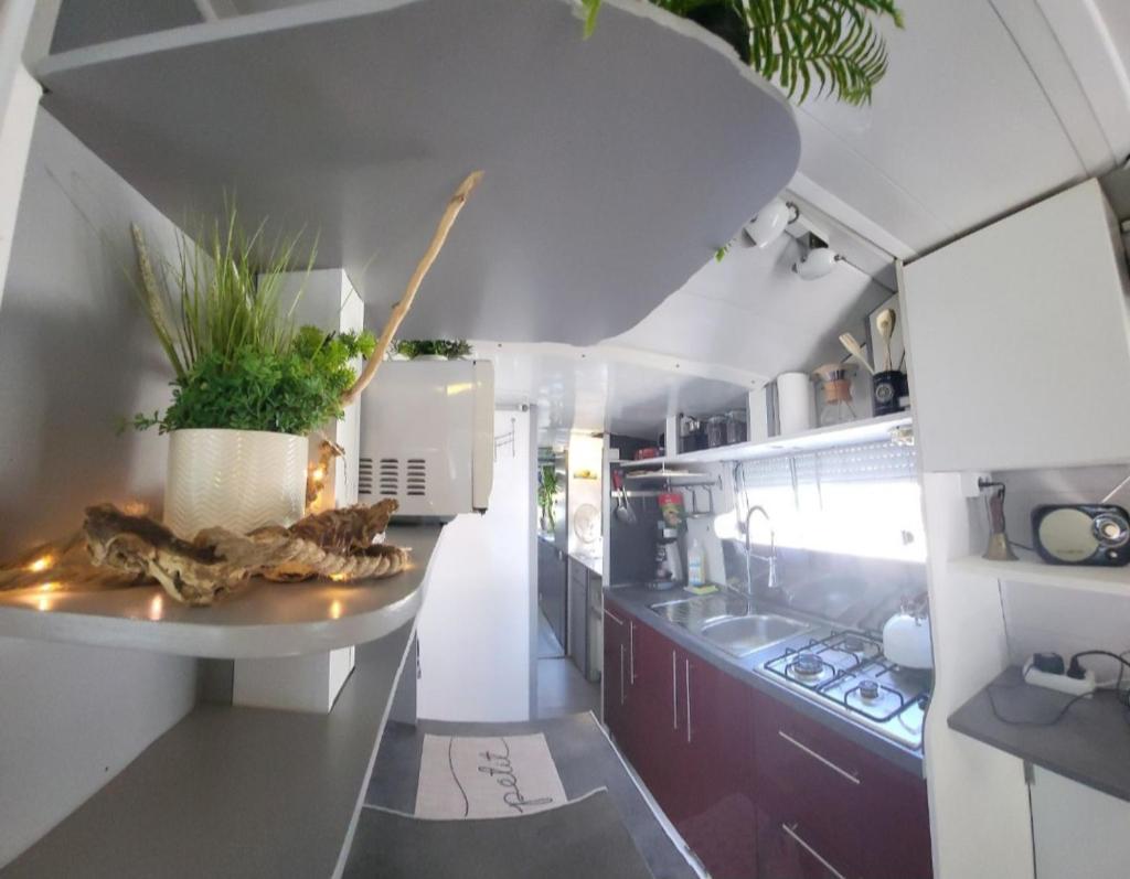 une cuisine avec un évier et un comptoir avec des plantes dans l'établissement Logement entier sur bateau, à Montech