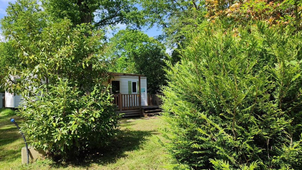une petite cabine au milieu de quelques arbres dans l'établissement Mobil Home Cosy, à Saint-Chéron 4 autres photos