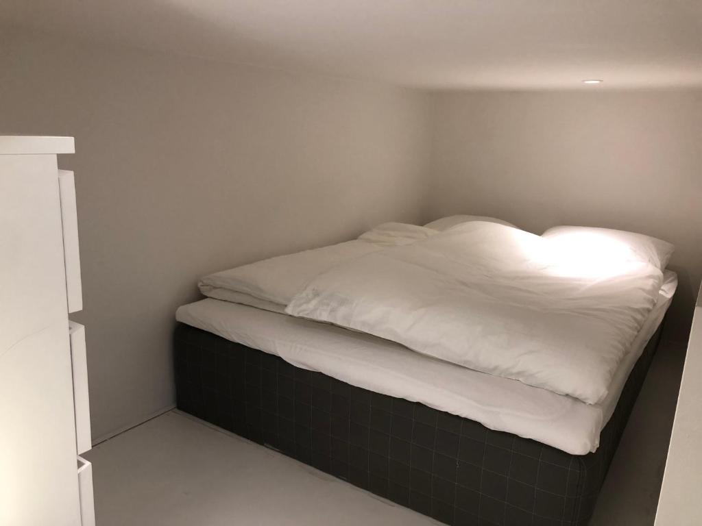 Rummelig Københavnerlejlighed 2