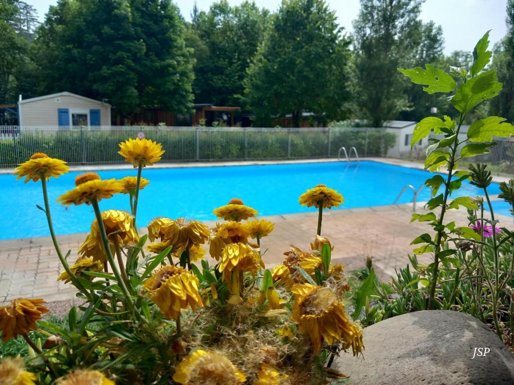- un bouquet de fleurs devant la piscine dans l'établissement Mobilhome Les volets bleus, à Vaudreuille