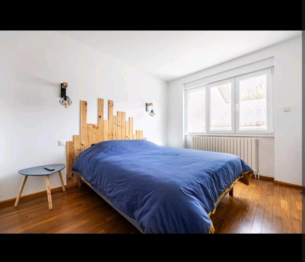 maison tout confort avec 2 appartements séparés ou associés , salle de jeux et grande terrasse 2