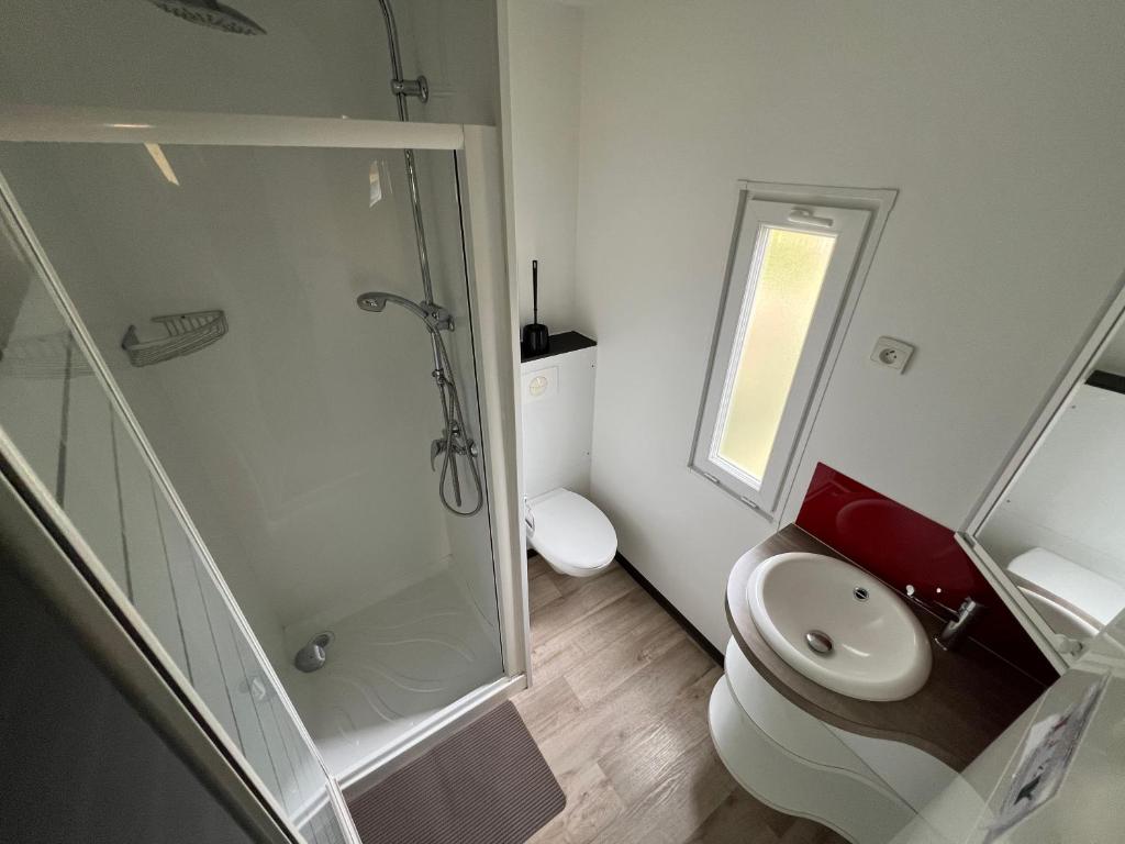une salle de bain avec une douche, des toilettes et un lavabo dans l'établissement Mobil Home confort 6p, à Cadenet