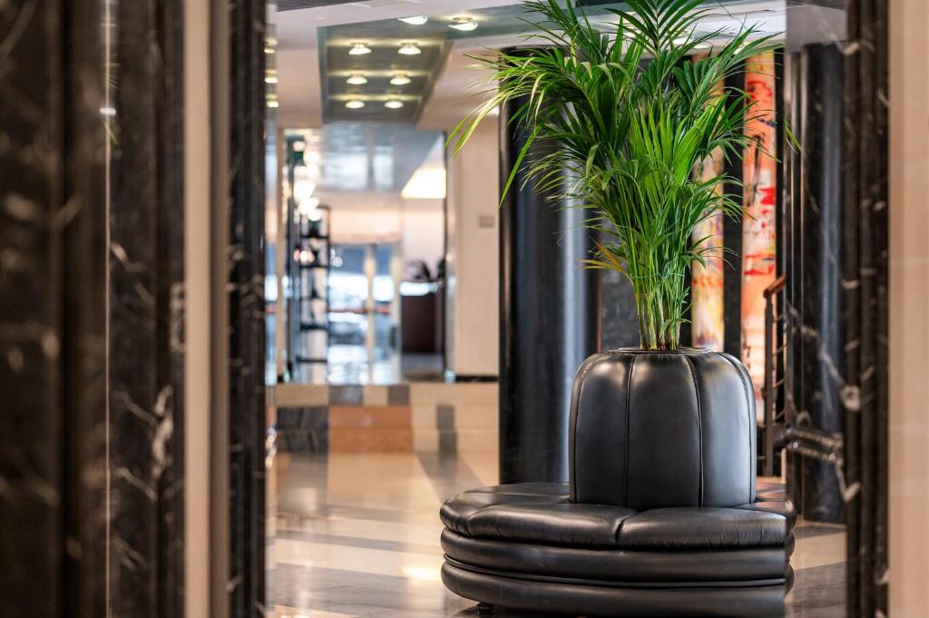 une plante sur une chaise noire dans un couloir dans l'établissement Hotel Europa, à Lido di Jesolo