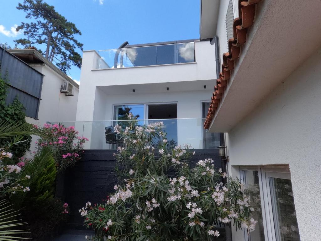 Villa Allegra 7