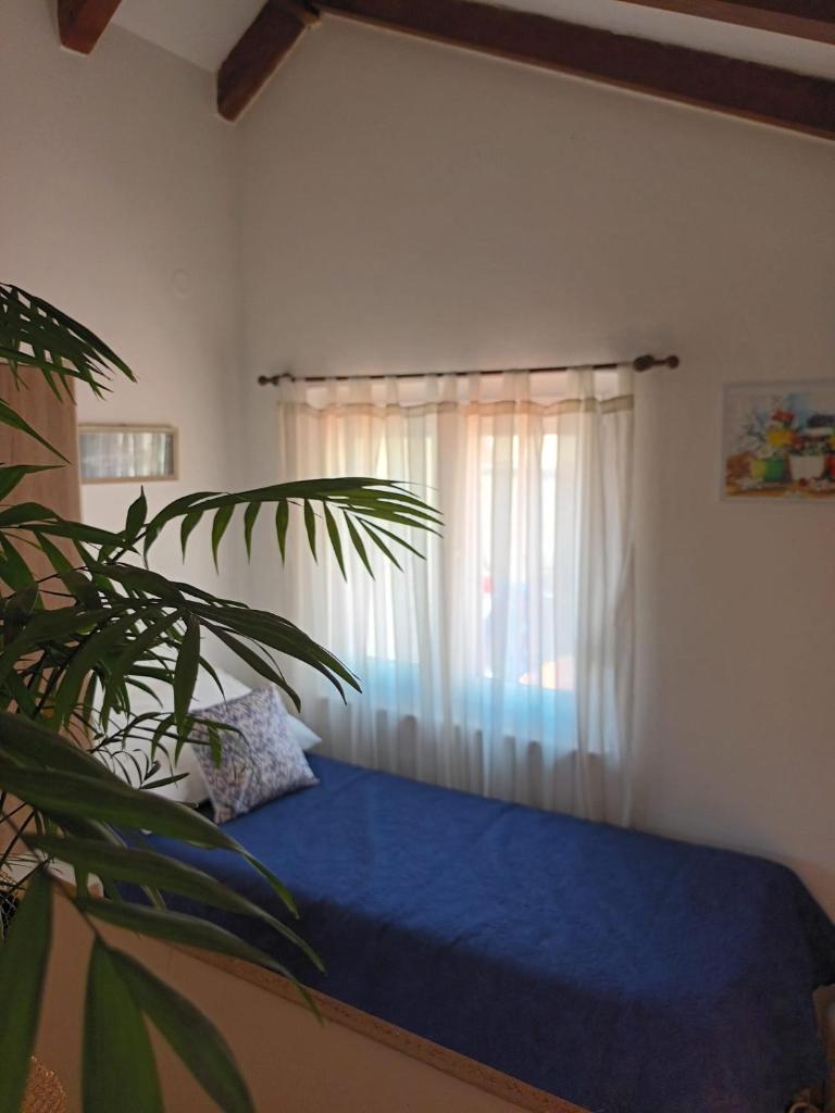 Home sweet home 2