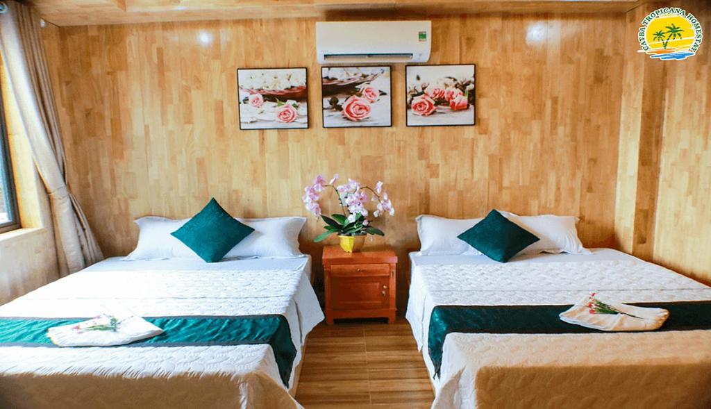 CatBa Tropicana Homestay