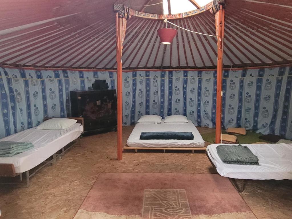 une chambre avec deux lits dans une tente dans l'établissement Yourte et Chalet avec piscine, à Nivillac