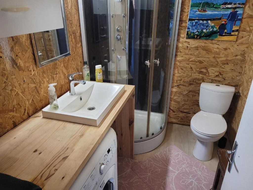 une salle de bain avec un lavabo, des toilettes et une douche dans l'établissement Yourte et Chalet avec piscine, à Nivillac