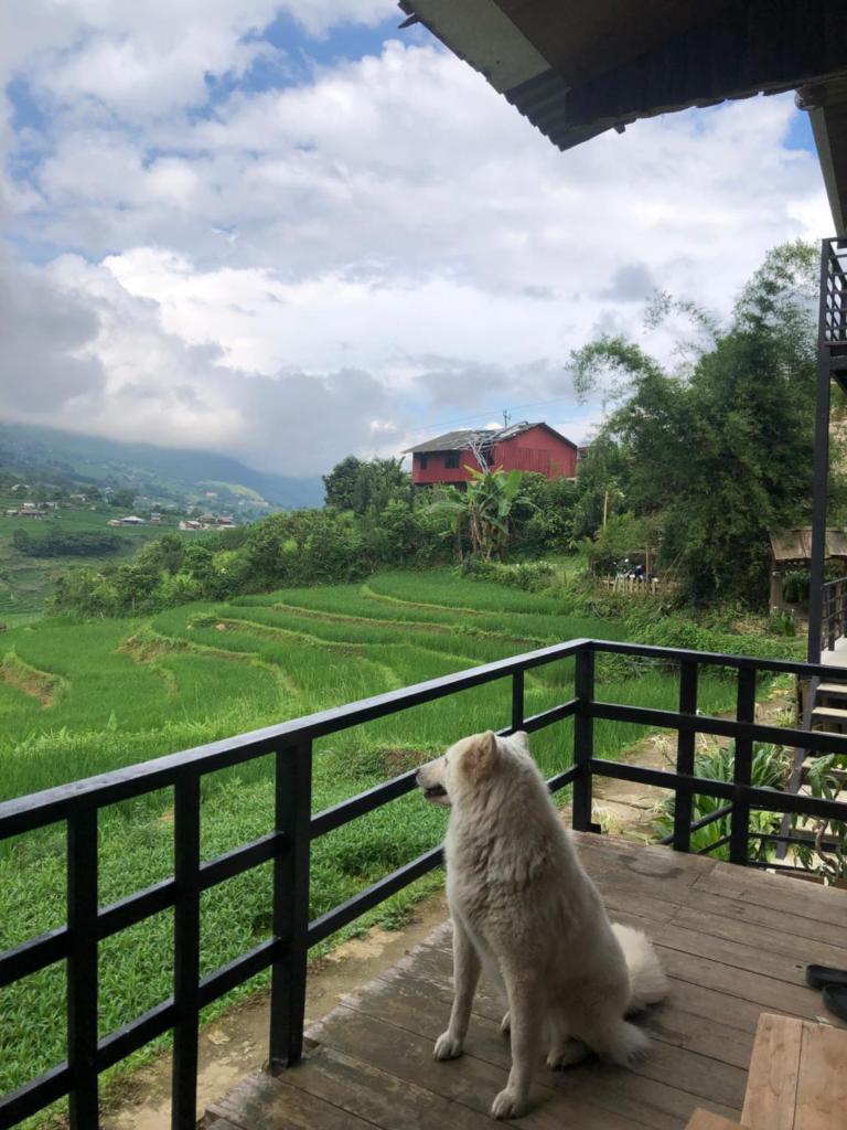 tavanhomestay