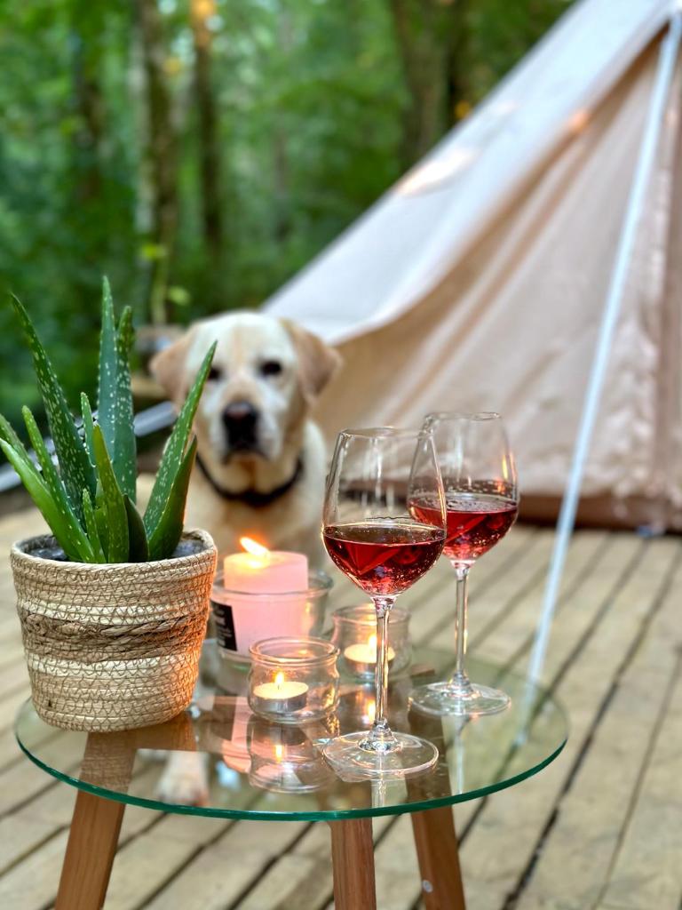 un chien assis derrière une table avec deux verres de vin dans l'établissement Wild Lodge, à Lasséran 8 autres photos