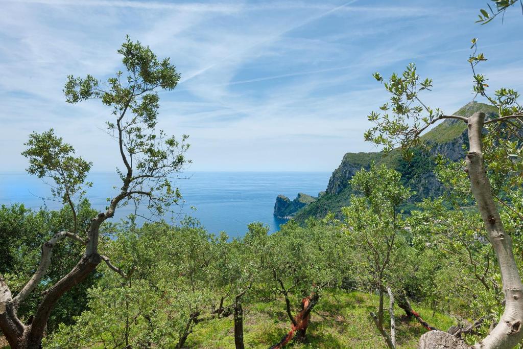 - une vue sur l'océan depuis l'arrière des arbres dans l'établissement Villa Saretta Amalfi Views Pool & Guest Services by Feeling Italy, à Massa Lubrense