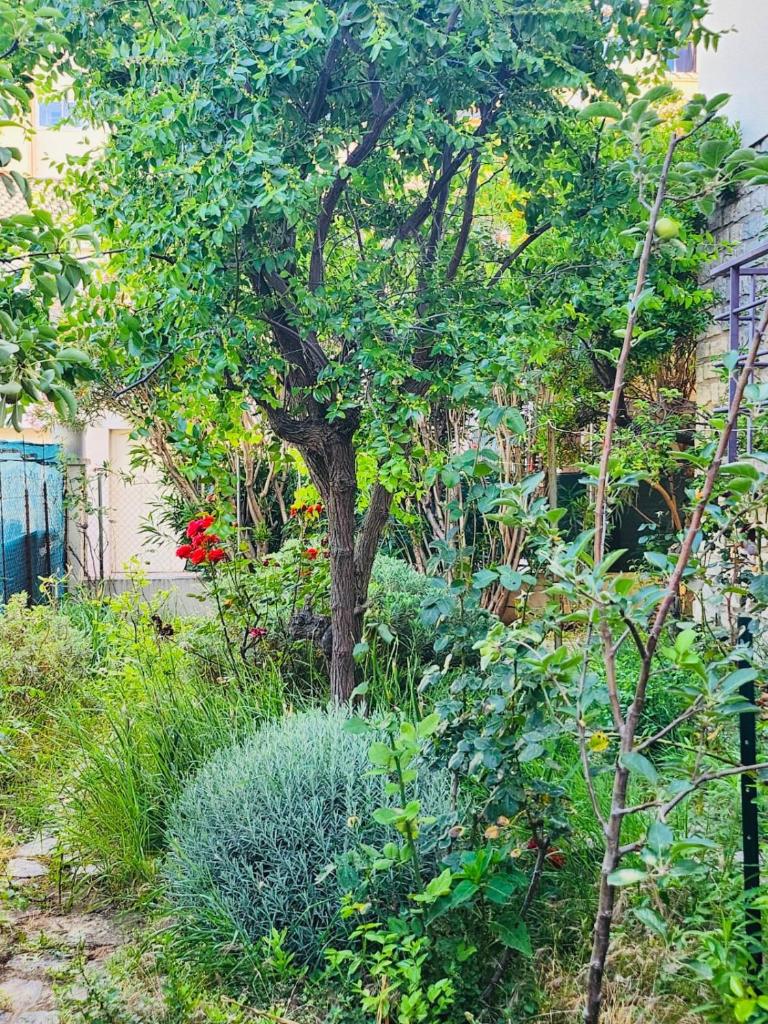 appartement paisible pour 4 personnes 6