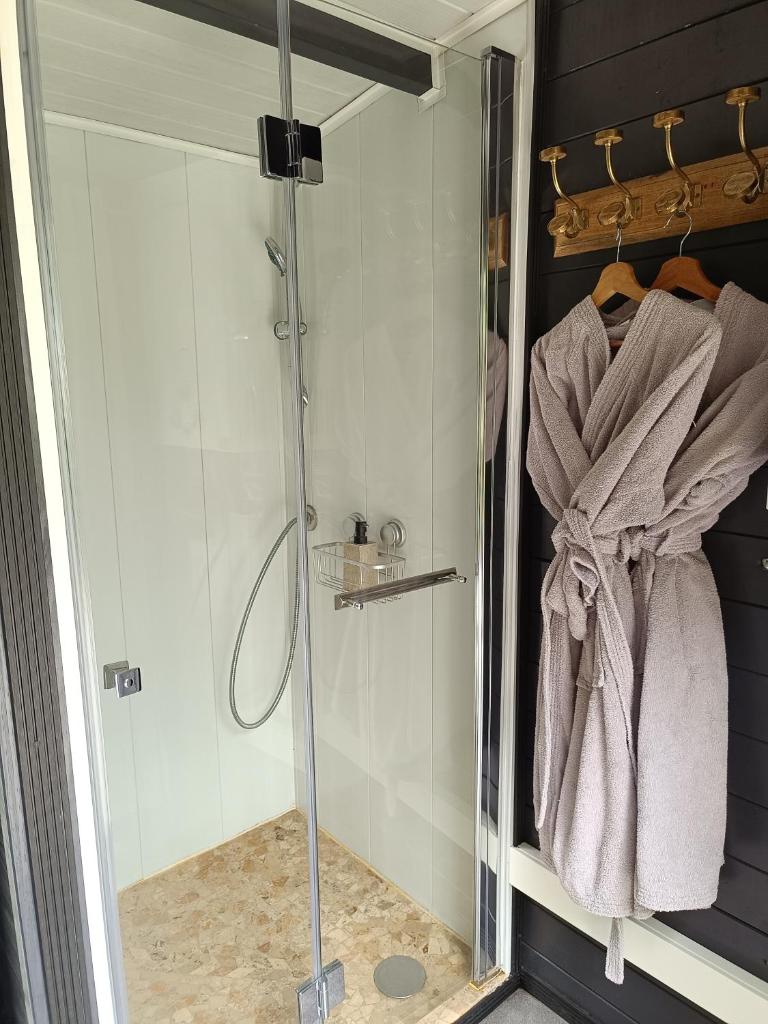 une douche avec une porte vitrée dans une salle de bain dans l'établissement Bulles d'Auvergne, à Cesset