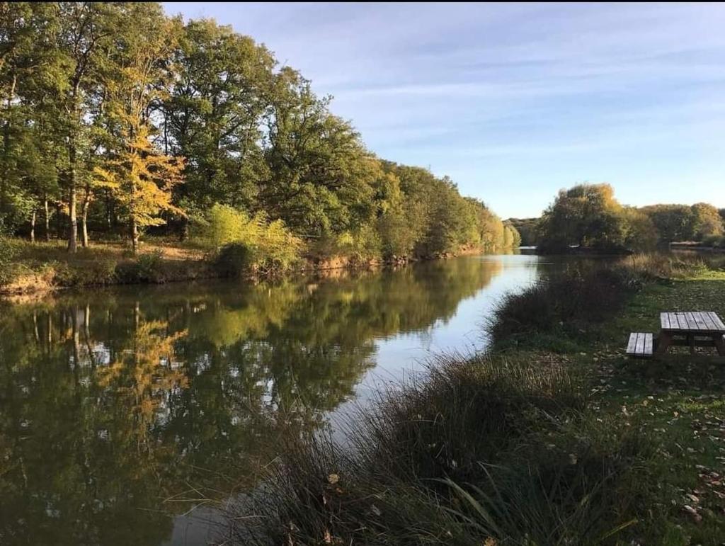 Paysage naturel près de le camping