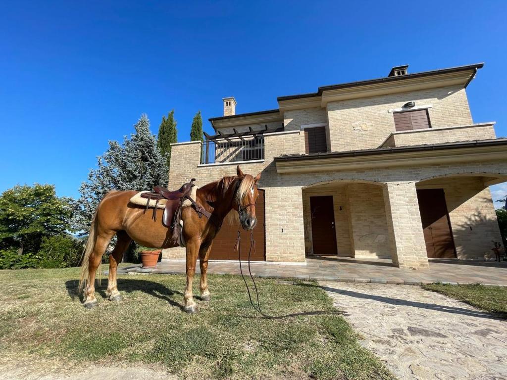 un cheval brun debout devant une maison dans l'établissement Villa Azzurra, à Porto SantʼElpidio