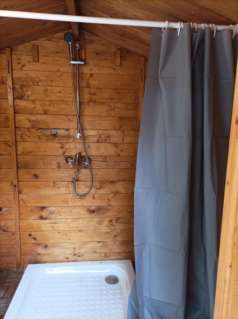 une petite salle de bain avec douche et toilettes dans l'établissement Au Chat qui Pêche, à Thenay