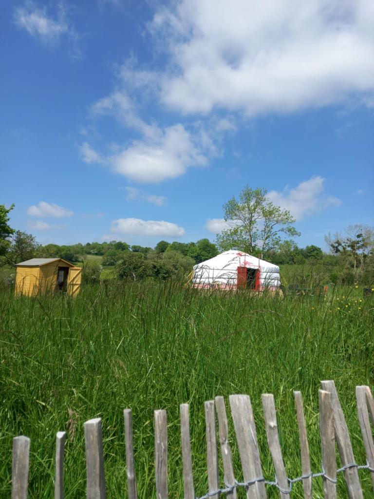 une clôture dans un champ de hautes herbes vertes dans l'établissement Yourte calvados, à Les Moutiers-en-Auge