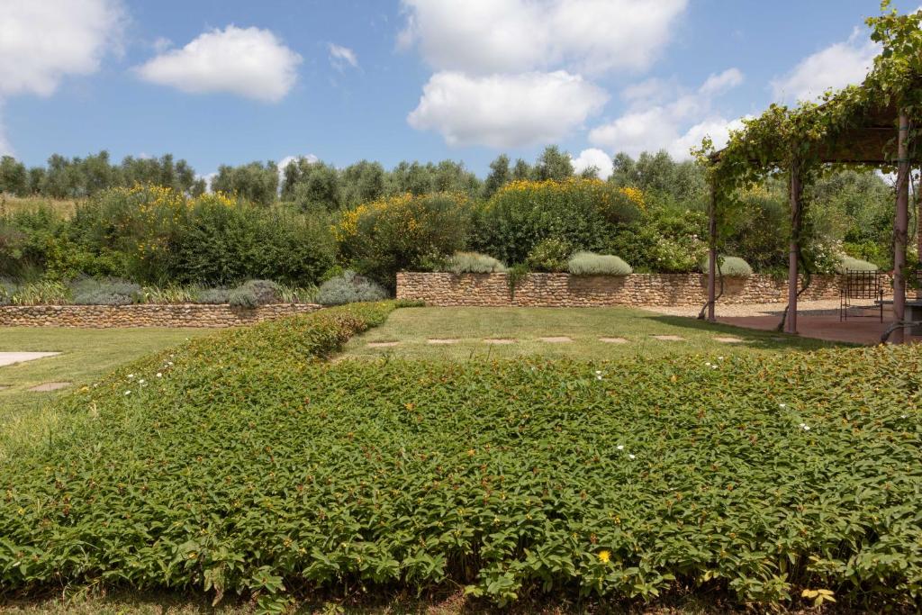 un jardin avec un mur de briques et une haie dans l'établissement Luminoso Fienile vista vigne, à Castiglioni
