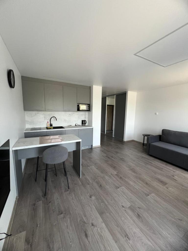 Spacious, cozy place in Vilnius 1