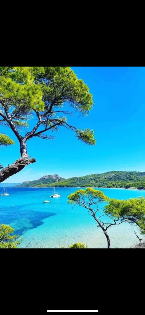 - une vue sur un lac avec des bateaux dans l'eau dans l'établissement L éden, à Hyères