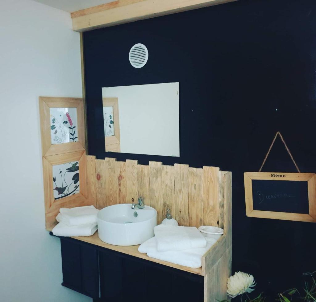 une salle de bain avec un lavabo et un miroir dans l'établissement amazonia, à Litteau