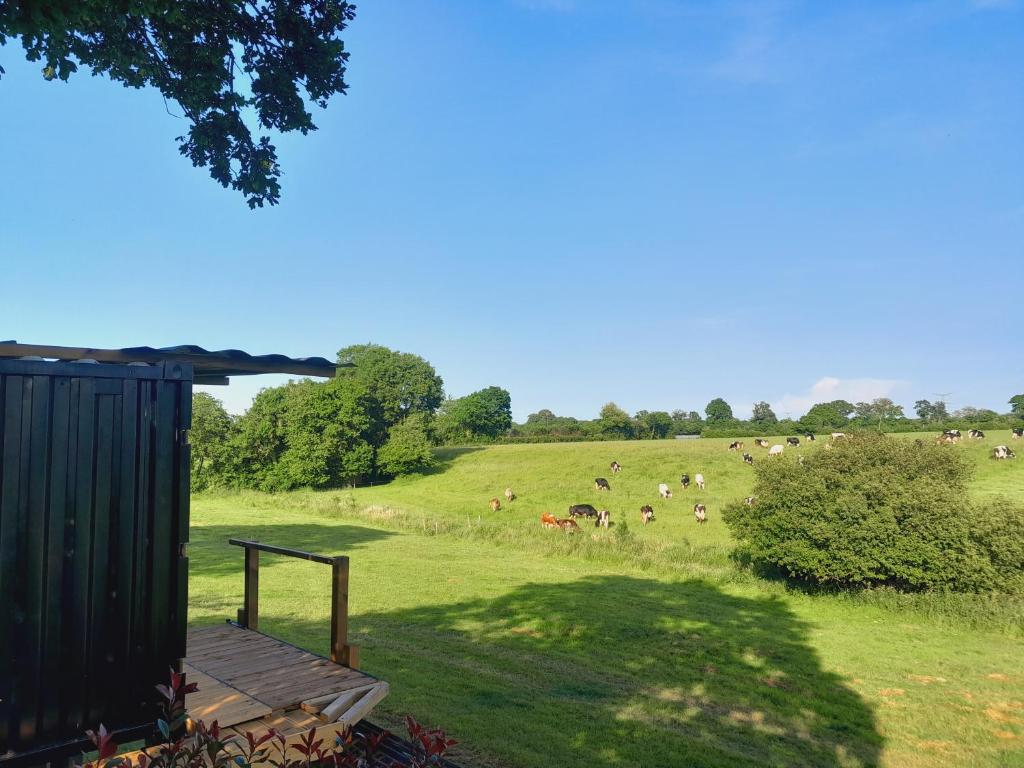 Photo de la galerie de l'établissement cabane amazonia, à Litteau 10 autres photos