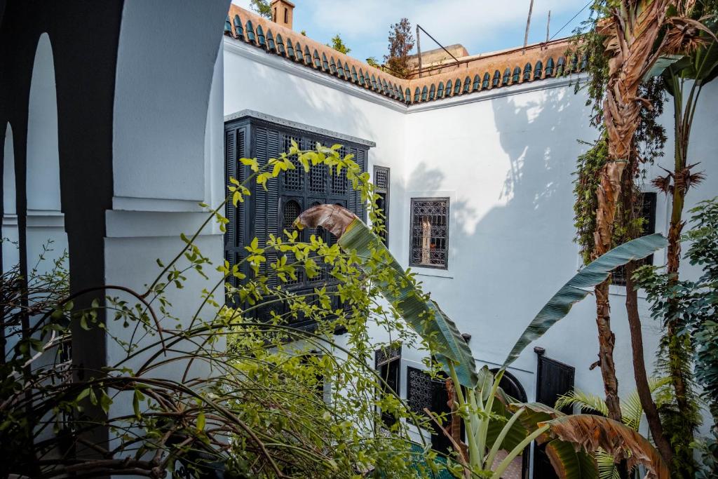 un chien qui ferme la tête par une fenêtre dans l'établissement Riad Alnadine, à Marrakech