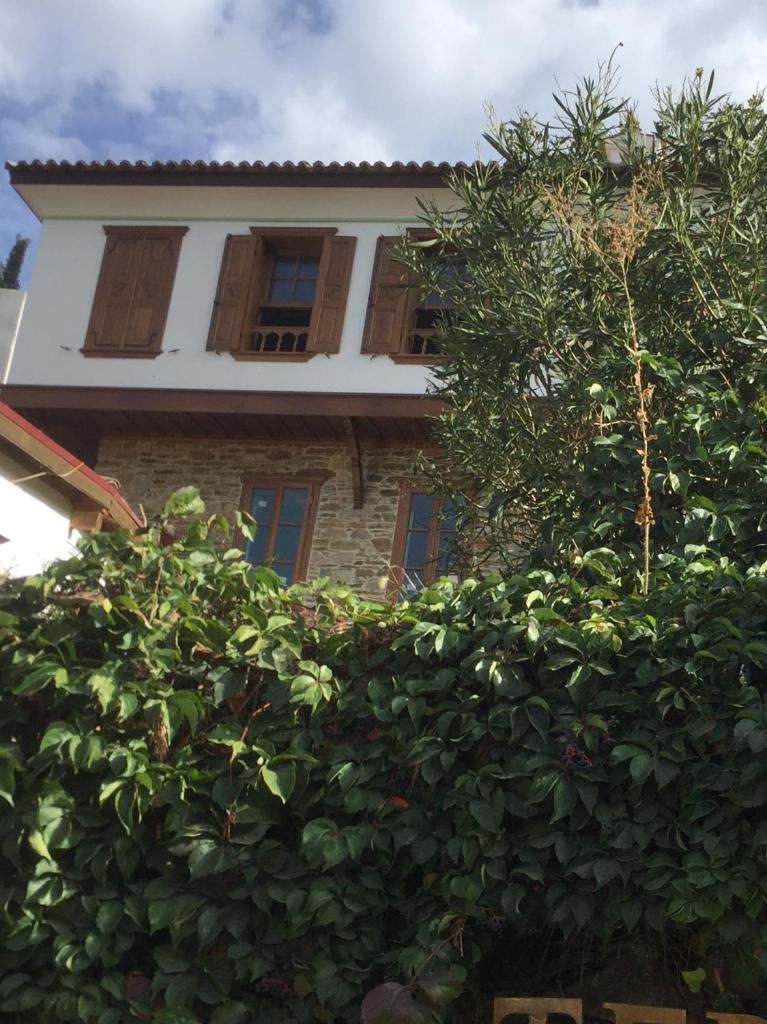 Terrace Houses Sirince 6