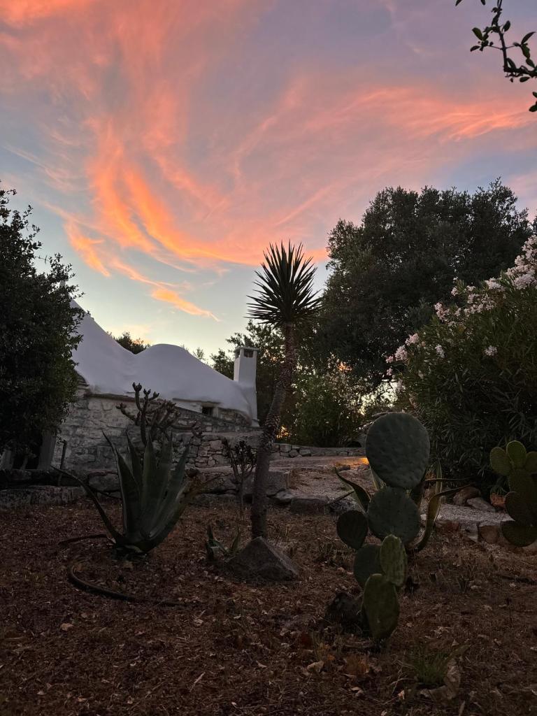 un coucher de soleil dans un jardin avec des cactus et une tente dans l'établissement Trullo Happiness, à Ostuni 52 autres photos