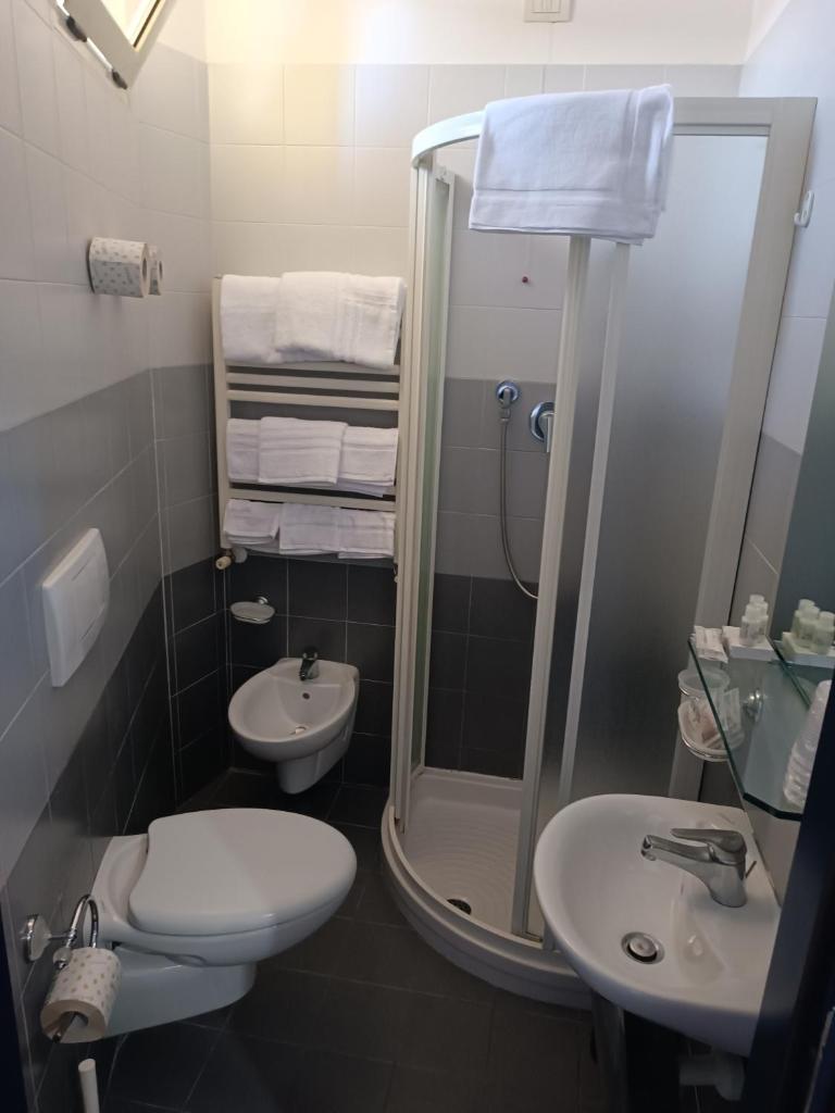 une salle de bain avec un lavabo, des toilettes et une douche dans l'établissement Hotel Remin Plaza, à Rimini