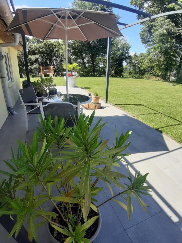 une terrasse avec un parasol et des plantes dans l'établissement Gîte L'Ecureuil***, à MouscardÃ¨s