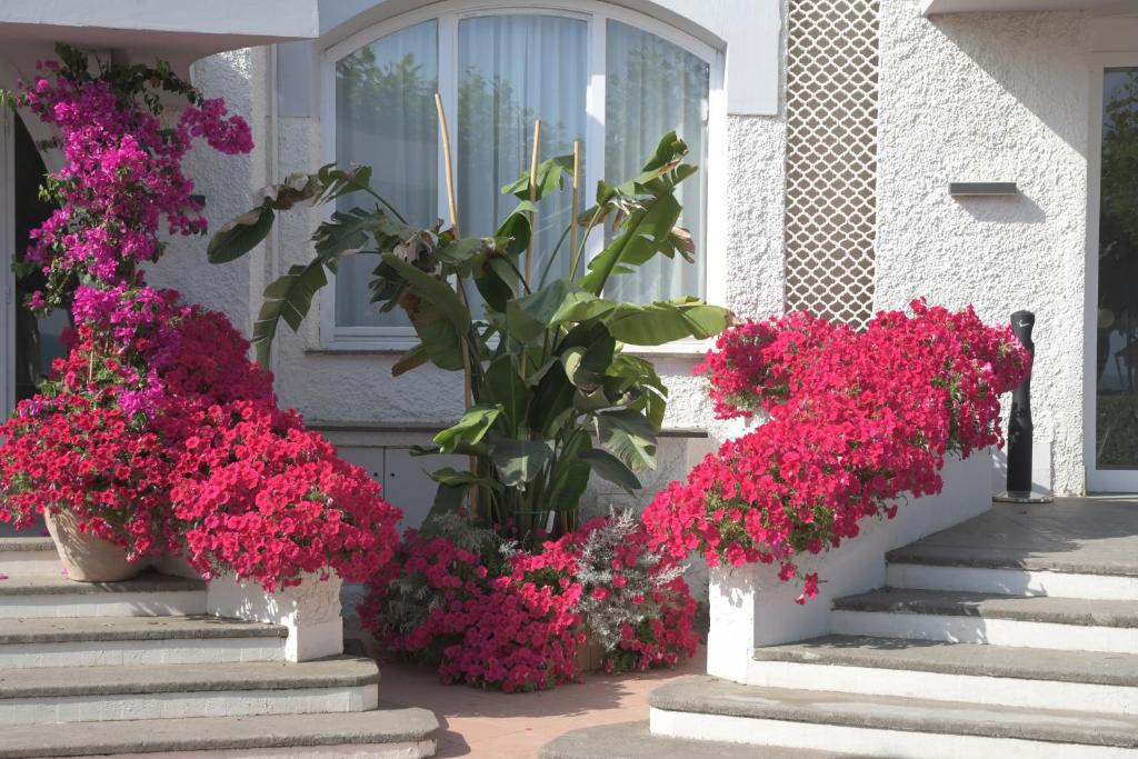un bouquet de fleurs roses sur les marches d'une maison dans l'établissement BAJAMAR BEACH HOTEL, à Formia 27 autres photos