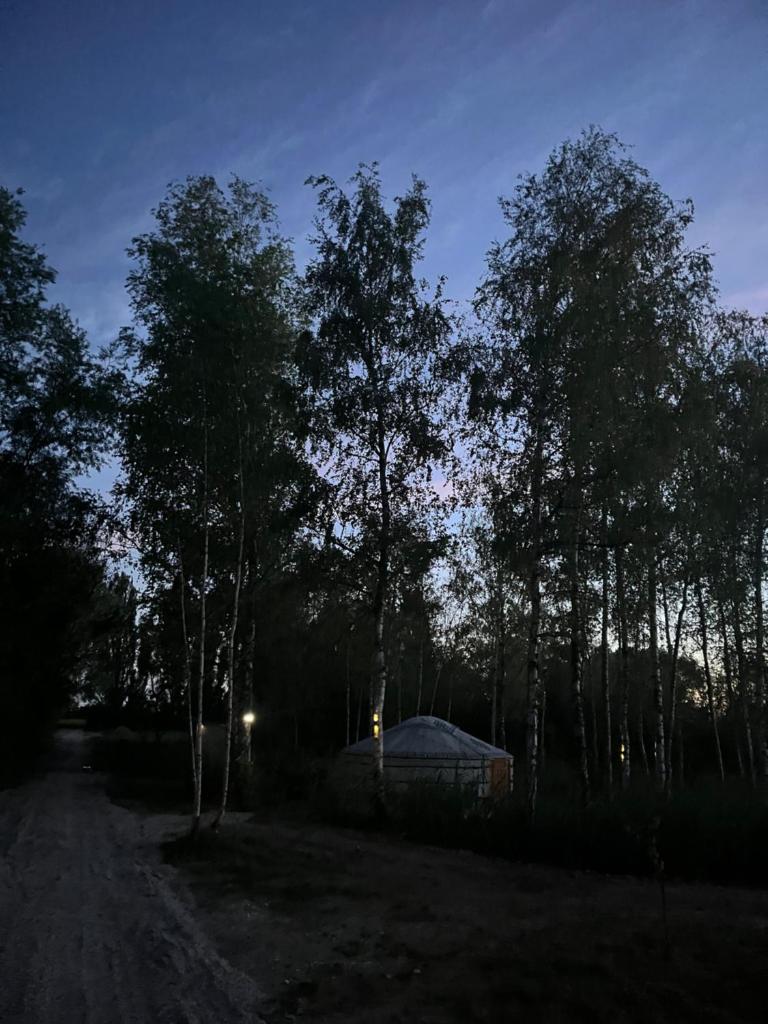 une tente au milieu d'une forêt la nuit dans l'établissement Yourte du pied de loup, à Saint-Thibault