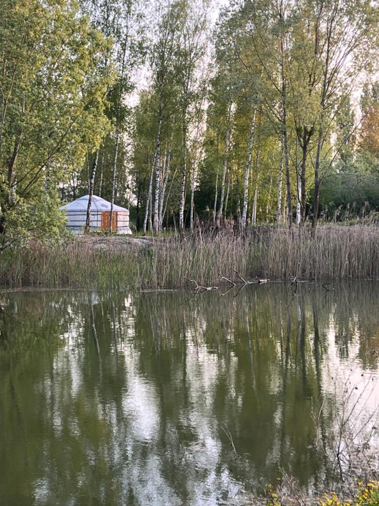 un étang avec une grange en arrière-plan avec des arbres dans l'établissement Yourte du pied de loup, à Saint-Thibault