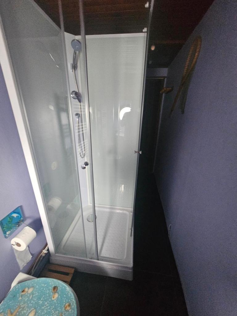 une douche avec une porte vitrée dans une salle de bain dans l'établissement peniche logement, à Creil