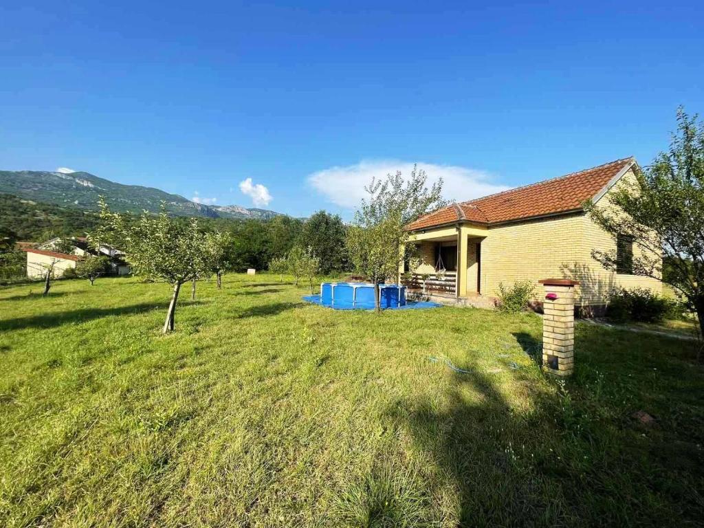 Green Little Cottage 7