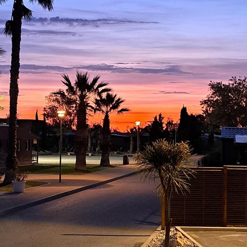 Une rue vide avec des palmiers et un coucher de soleil dans l'établissement Bungalow M027 chez D&D, à Torreilles