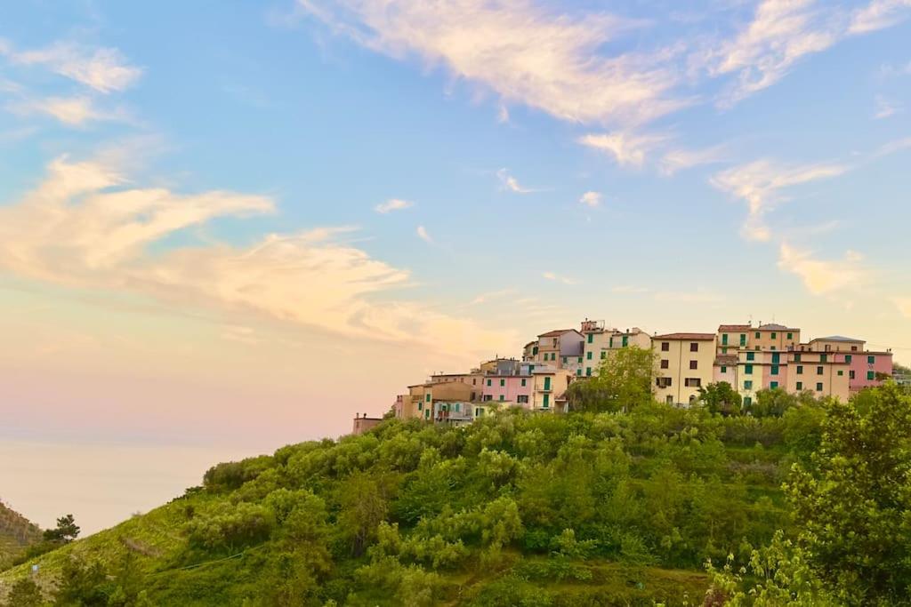 Cinque Terre - House & Garden Paradise 6