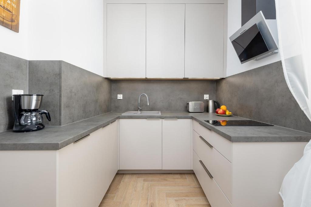 Słoneczny i Przestronny Apartament w Sercu Szczecina by Noclegi Renters 3