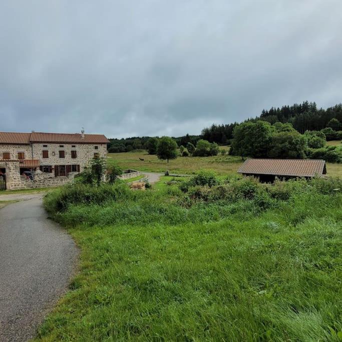 Maison de campagne 6