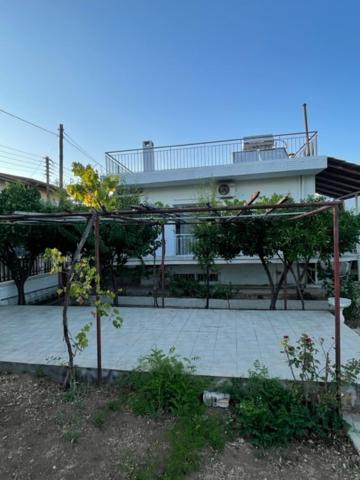 Cosy spot near the beach only 45 min from Athens 5