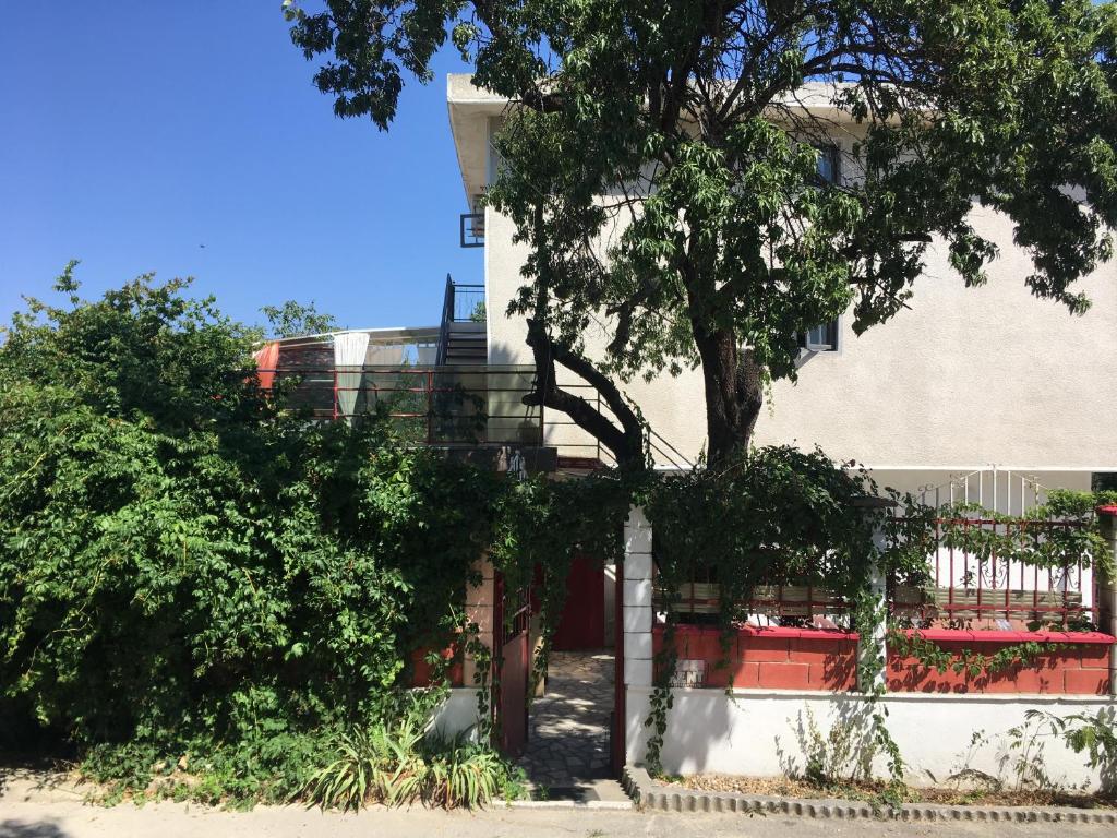 SURF House Villa Rose I Po3a l 5