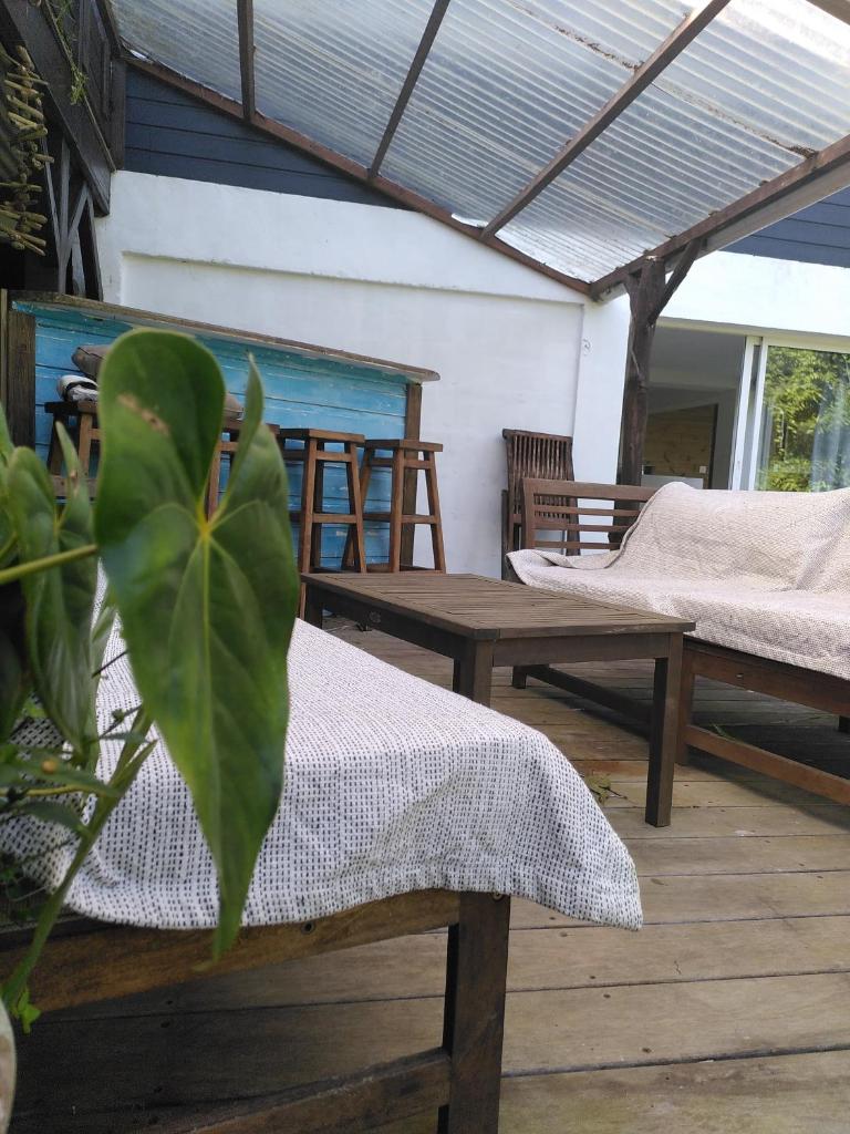Studio dans la forêt tropicale 2