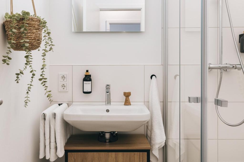 Oasis Appart - Wohnen in Dresden - Netflix - Tiefgarage - Dachterrasse 6