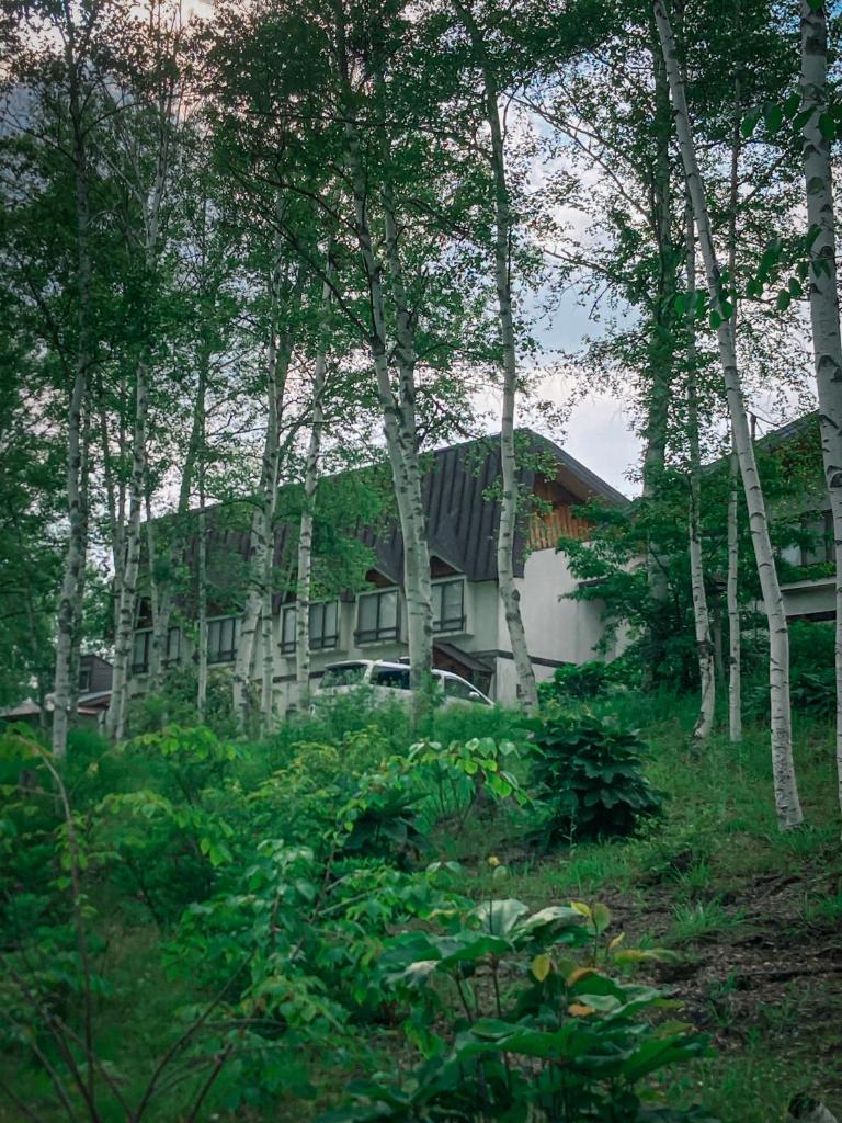 une maison au milieu d'une forêt d'arbres dans l'établissement 温泉宿山荘わたり, à Yoriaido