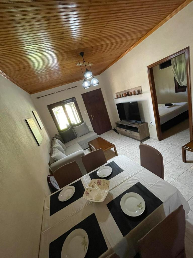 Sotiritsa's luxury home 5