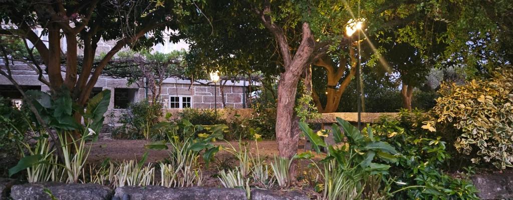 Quinta de S. Domingos - Viseu 8